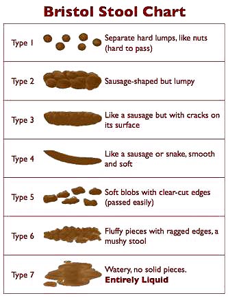 What are the causes of hemorrhoids and anal fissures